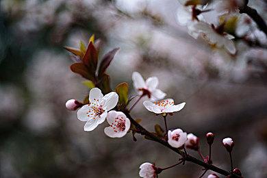 《死亡空间：重制版》新实机演示10月4日公开